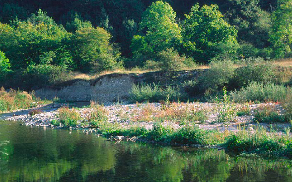 Brennpunkt Biotope